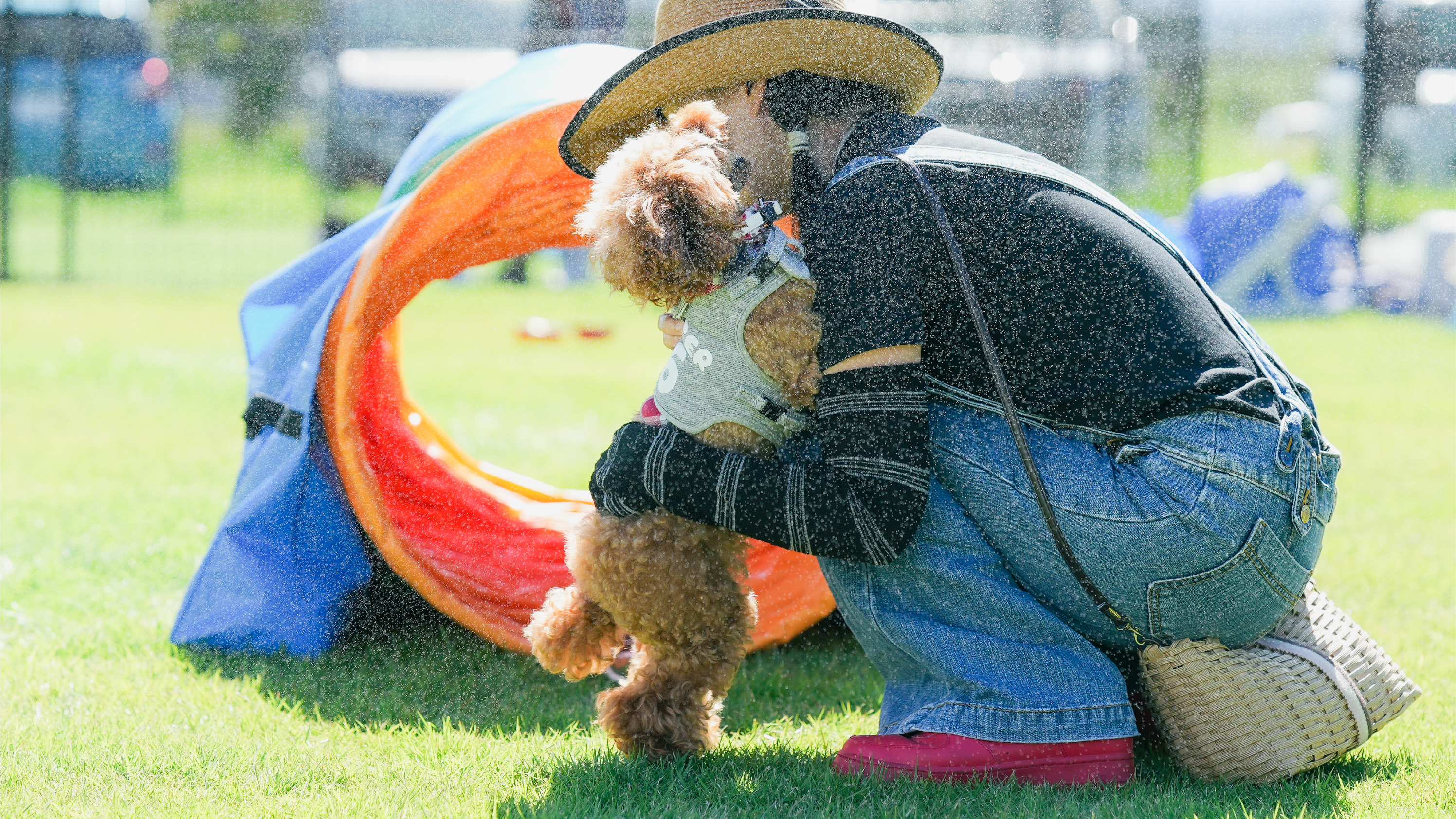 HEALTHY LIFE AND FOOD FOR PETS